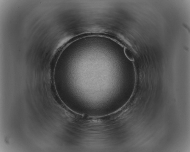 X0000091361315200708241301
