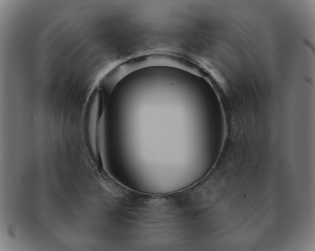 X0000091361316200708241301