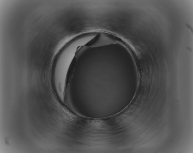 X0000091361319200708241301