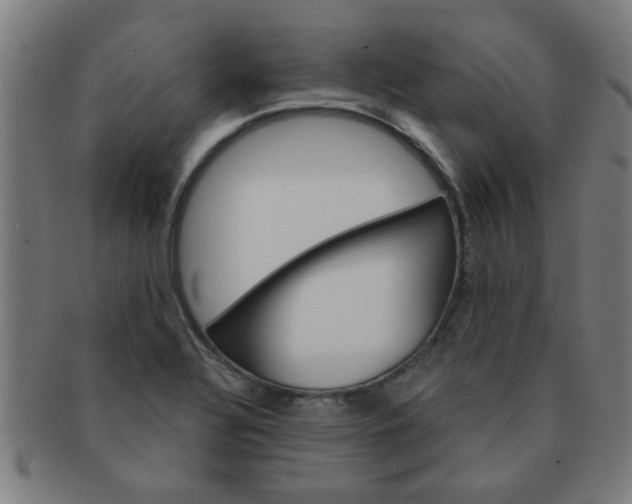 X0000091361320200708241301
