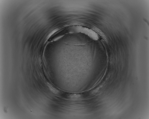 X0000091361321200708241301