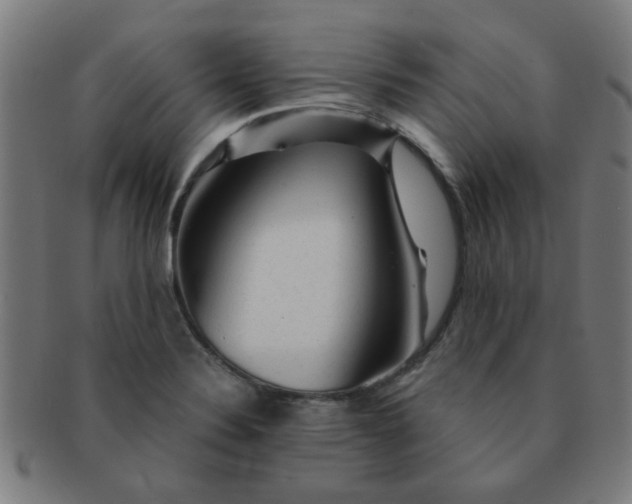X0000091361324200708241301