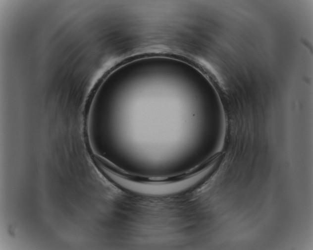 X0000091361326200708241301
