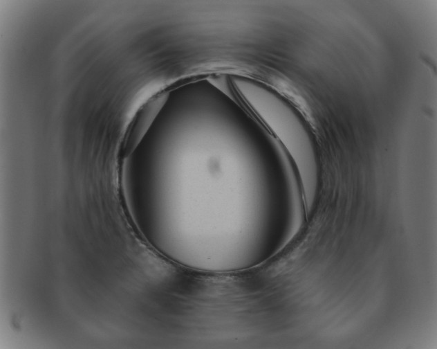 X0000091361328200708241301