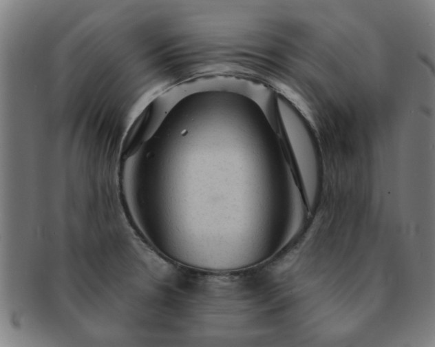 X0000091361330200708241301