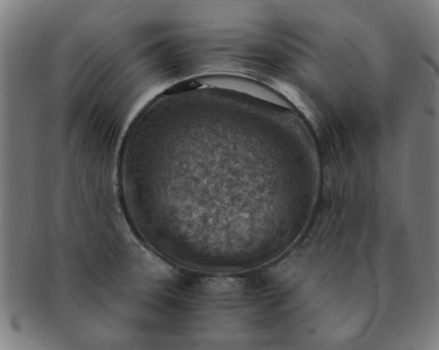 X0000091361331200708241301