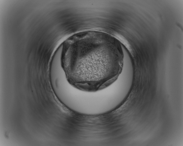 X0000091361332200708241301