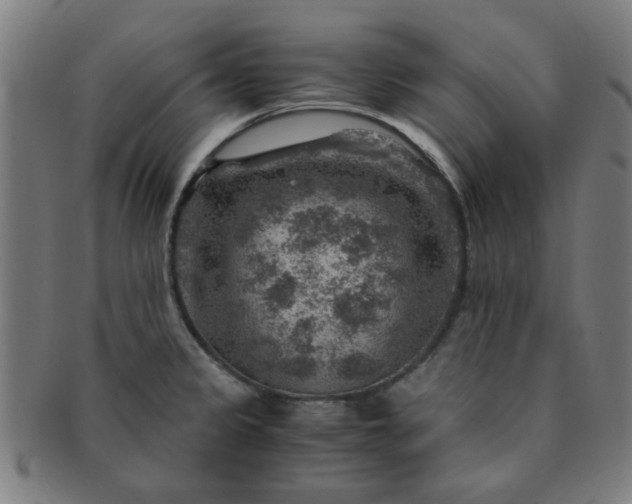 X0000091361333200708241302