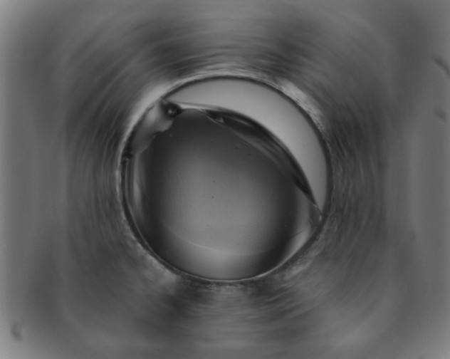 X0000091361334200708241302