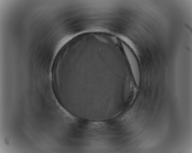 X0000091361335200708241302