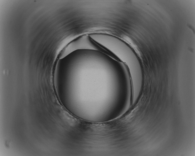 X0000091361336200708241302