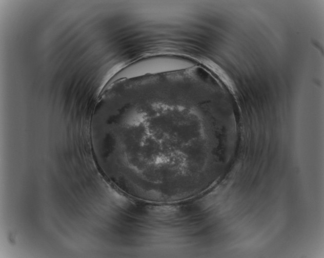 X0000091361337200708241302