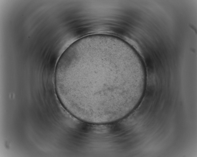 X0000091361338200708241302