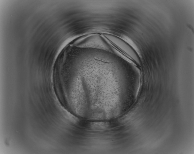 X0000091361339200708241302