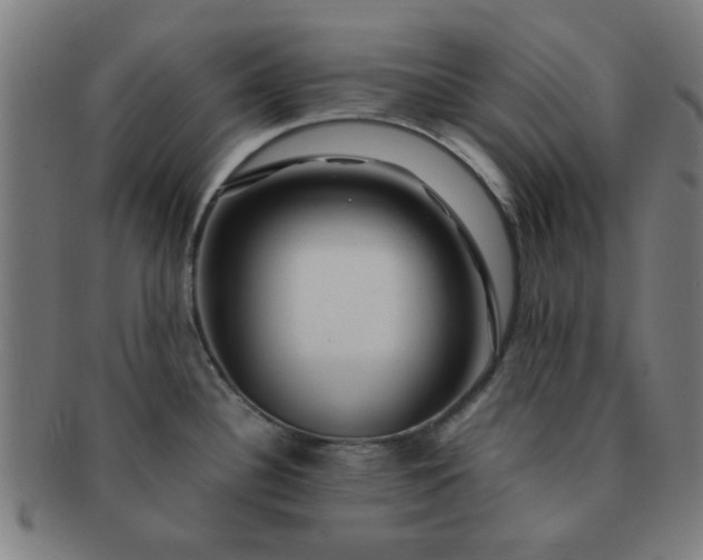 X0000091361340200708241302