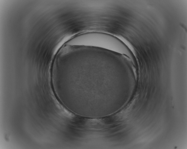 X0000091361341200708241302
