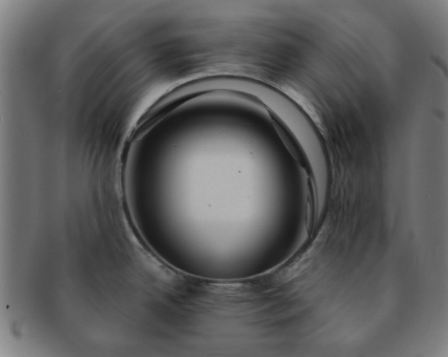 X0000091361342200708241302