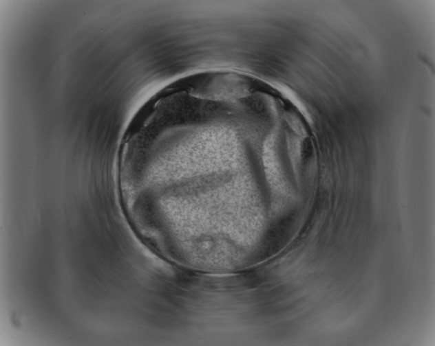 X0000091361343200708241302