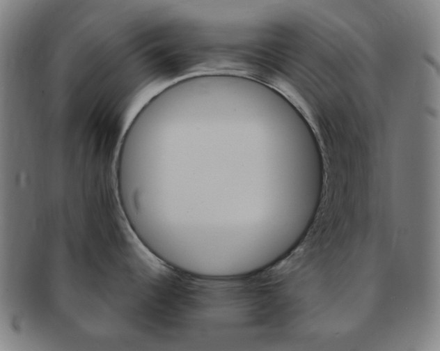 X0000091361344200708241302