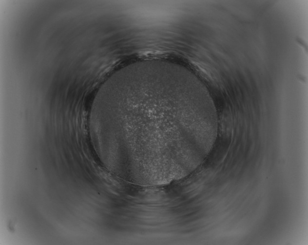 X0000091361346200708241301
