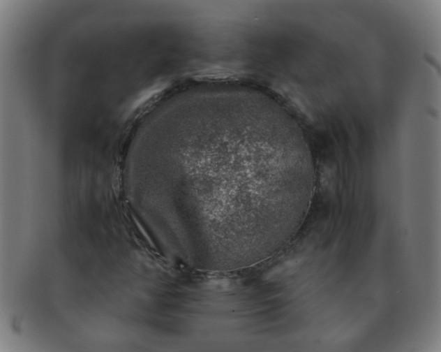 X0000091361350200708241301