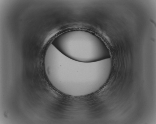 X0000091361352200708241301