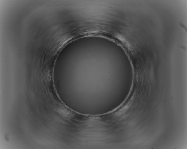 X0000091361353200708241301