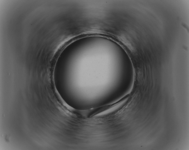 X0000091361356200708241301