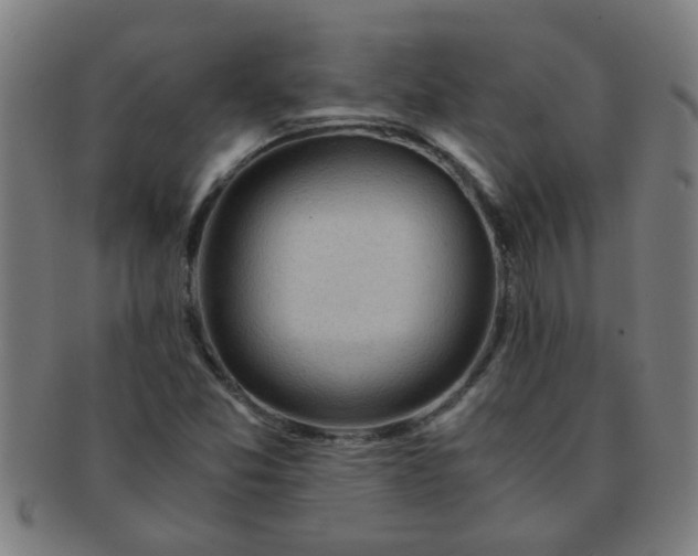 X0000091361357200708241301