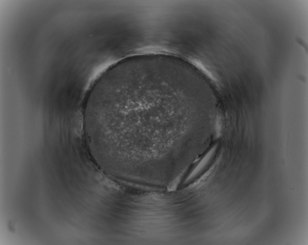 X0000091361358200708241301