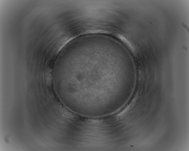 X0000091361361200708241301