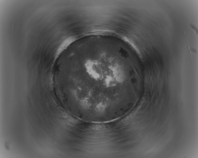 X0000091361362200708241301