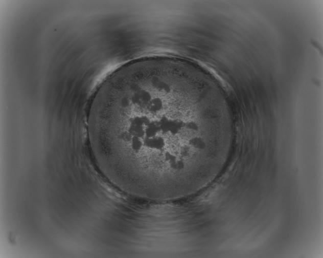X0000091361363200708241301