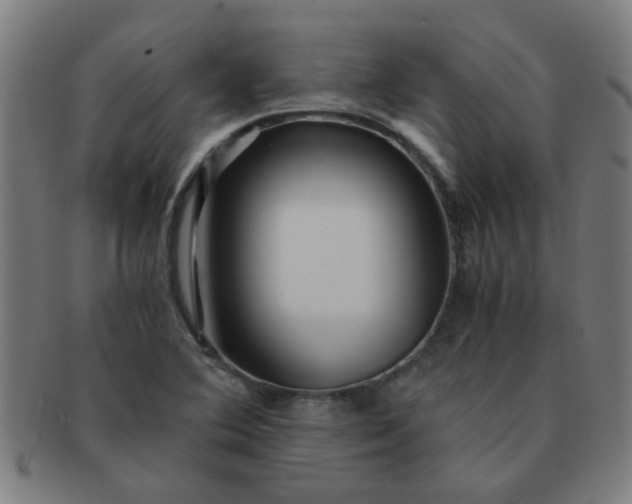 X0000091361364200708241301