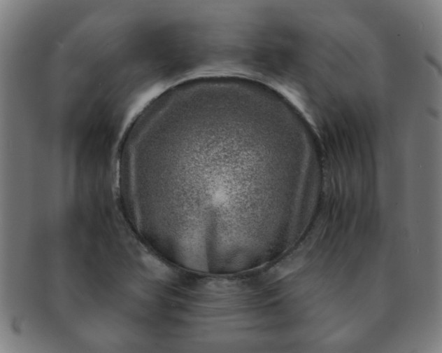 X0000091361366200708241301