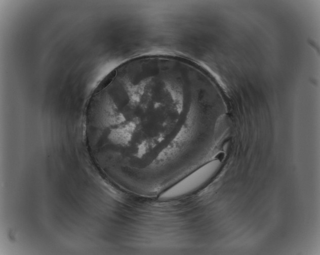 X0000091361367200708241301