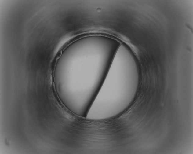 X0000091361368200708241301