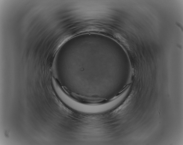 X0000091361369200708241301