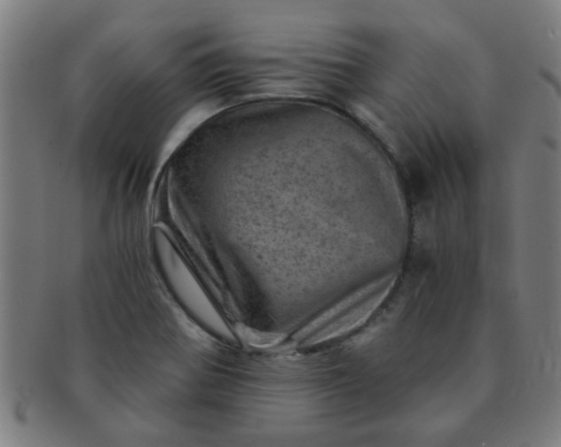 X0000091361370200708241300