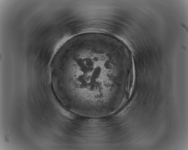X0000091361371200708241300