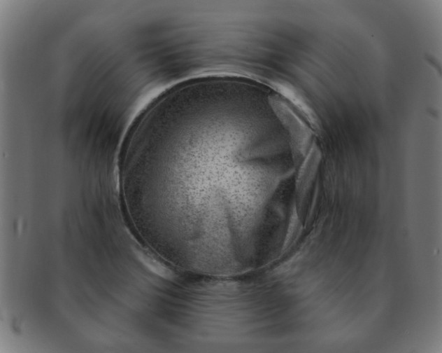 X0000091361372200708241300