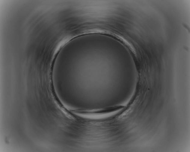 X0000091361373200708241300
