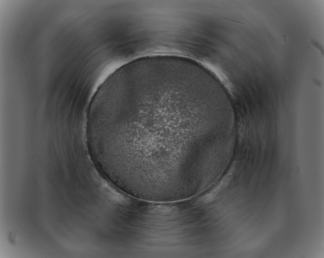 X0000091361374200708241300