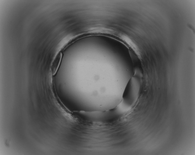 X0000091361376200708241300