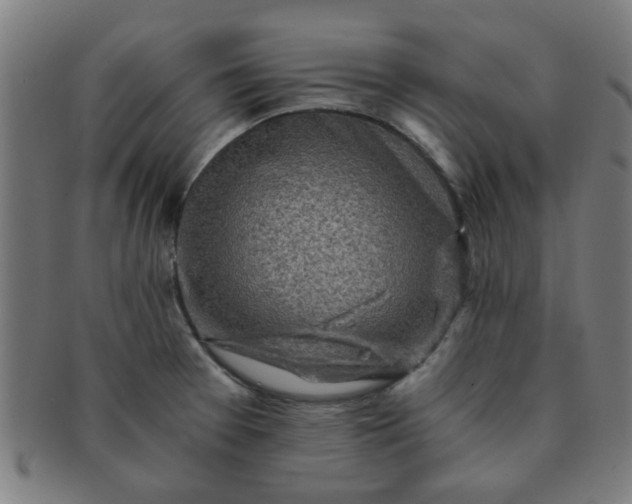 X0000091361377200708241300