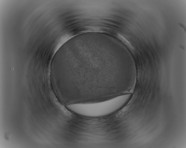 X0000091361378200708241300