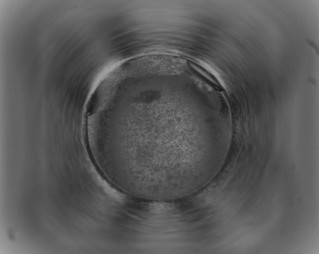 X0000091361379200708241300