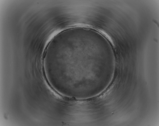 X0000091361381200708241300
