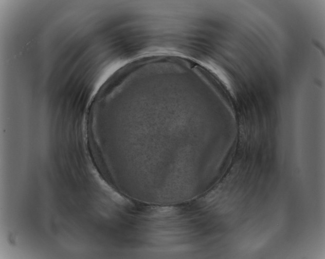 X0000091361382200708241300