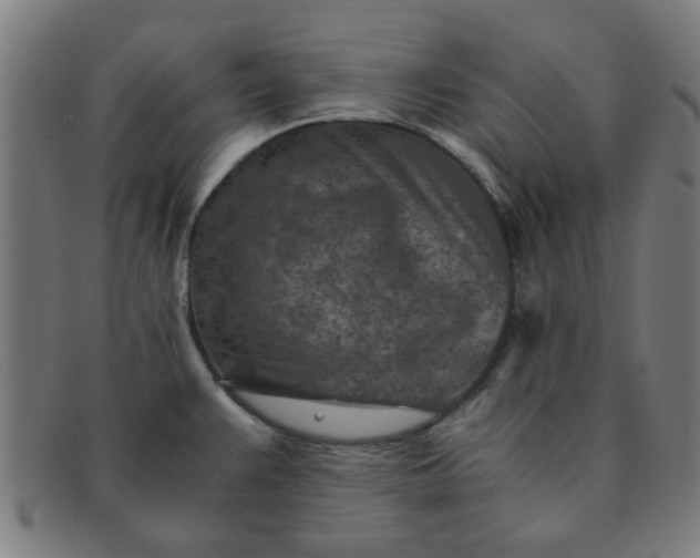 X0000091361383200708241300